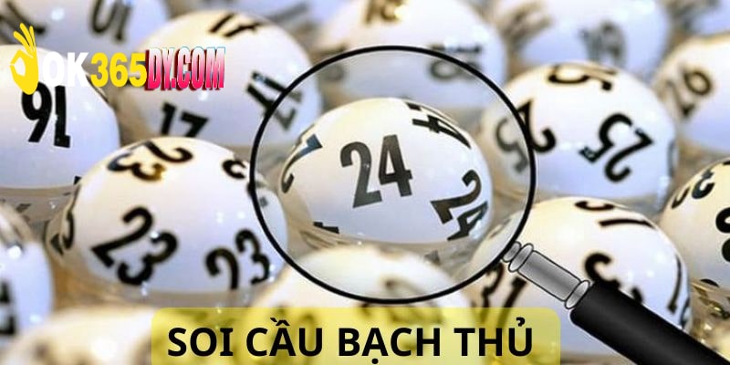 Soi Cầu Bạch Thủ